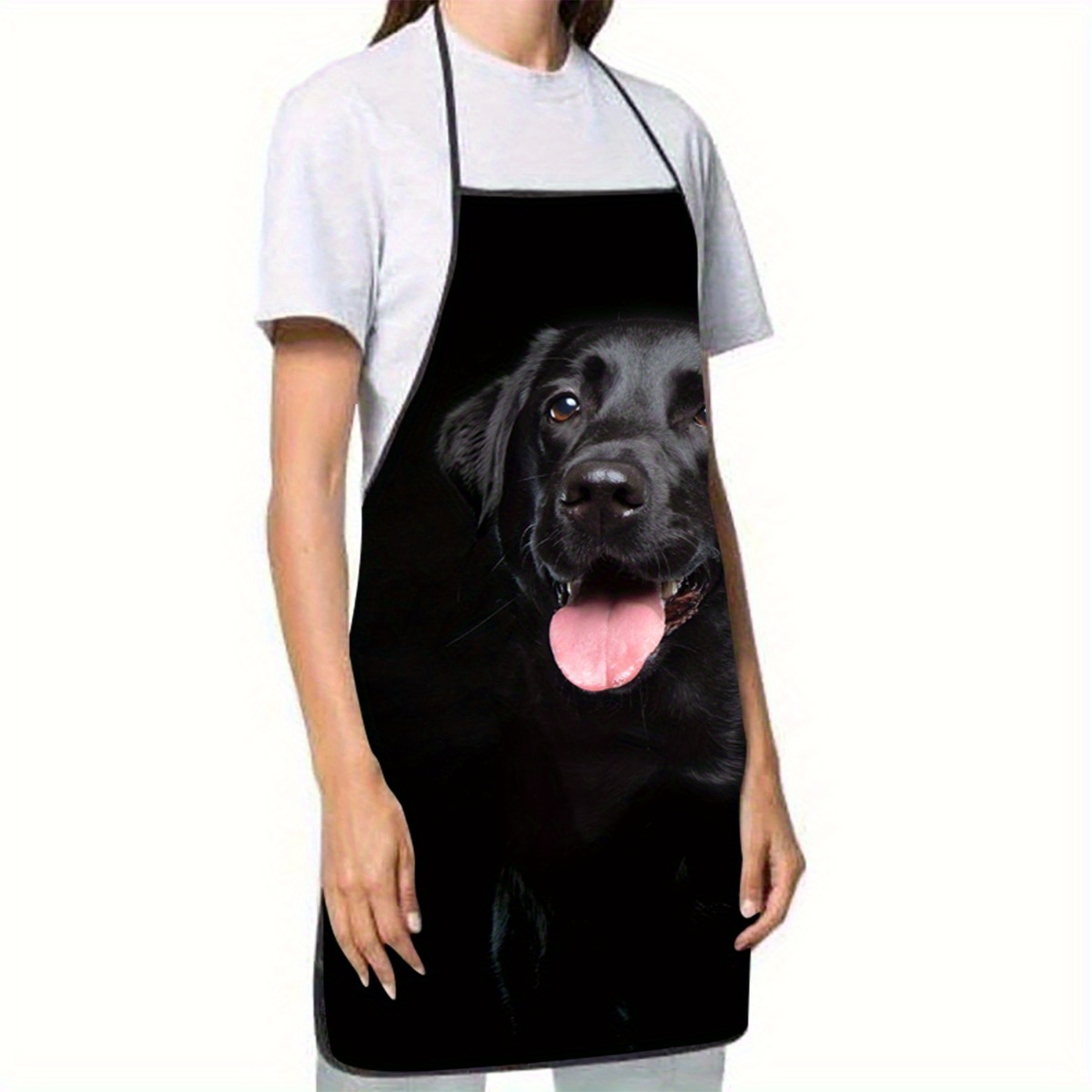 1 Siyah Labrador Köpek Desenli - Home Cooking Dog Food incelemesi ve fiyatı